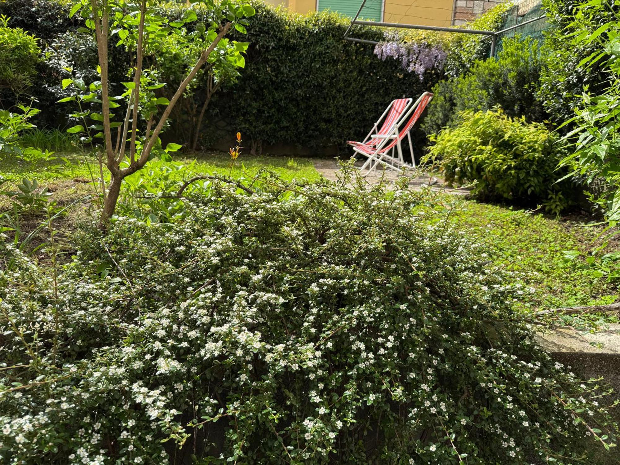 L'Angolino Apartment Trento Eksteriør billede